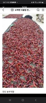 팜모닝 고추·영농일지 게시글 이미지