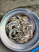 팜모닝 작목반,동호회 등 나의 모임은?·참여글 게시글 이미지