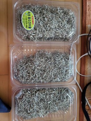 박순례님의 작목반,동호회 등 나의 모임은? · 참여글 작성글 사진