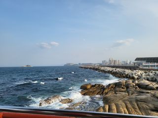 박순례님의 작목반,동호회 등 나의 모임은? · 참여글 작성글 사진