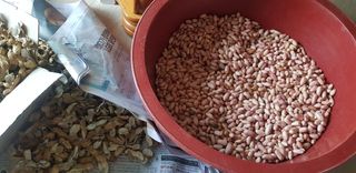 오현백님의 기타작물 · 자유게시판 작성글 사진