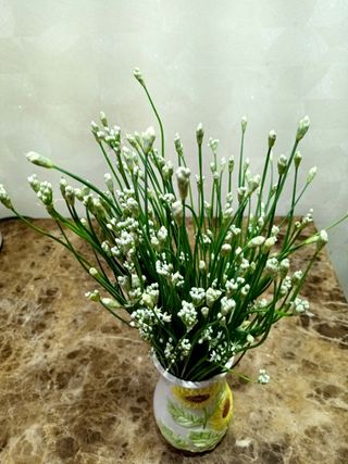 정선심님의 자유주제 · 자유게시판 작성글 사진