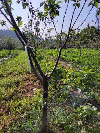 박정희 님의 자유주제 · 자유게시판 작성글 사진