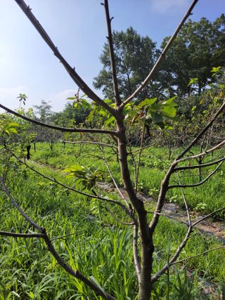 박정희 님의 자유주제 · 자유게시판 작성글 사진