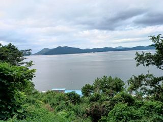 오영도님의 자유주제 · 자유게시판 작성글 사진