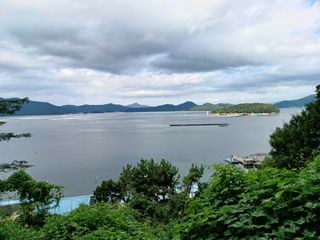 오영도님의 자유주제 · 자유게시판 작성글 사진