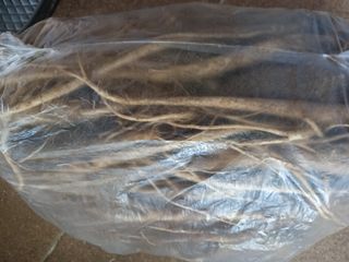 강지현님의 기타작물 · 영농일지 작성글 사진