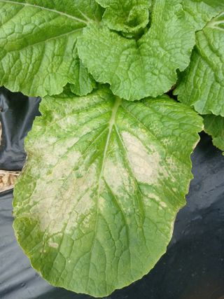 선창복님의 자유주제 · 자유게시판 작성글 사진