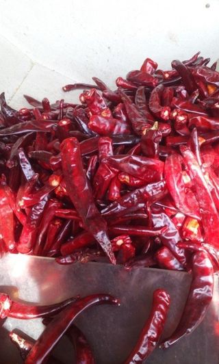 박현주님의 작성글 사진