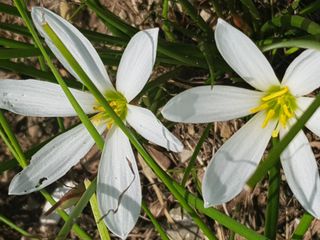 배영이님의 작성글 사진
