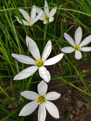 배영이님의 작성글 사진