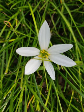 배영이님의 작성글 사진