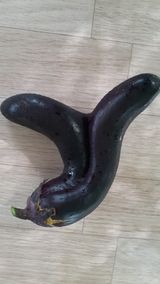 팜모닝 자유주제·자유게시판 게시글 이미지