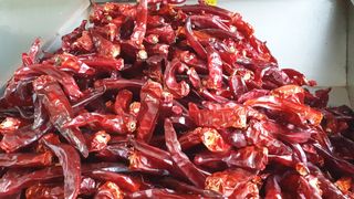 농부아내님의 고추 · 일상 작성글 사진