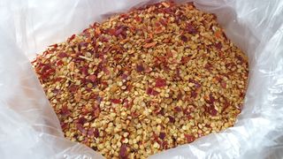 농부아내님의 고추 · 일상 작성글 사진