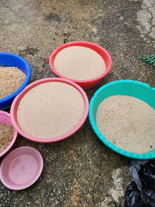 김연숙님의 참깨 · 자유게시판 작성글 사진