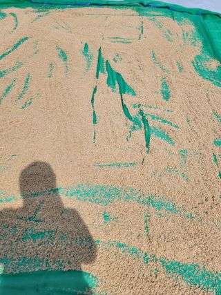 김연숙님의 참깨 · 자유게시판 작성글 사진