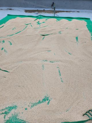 김연숙님의 참깨 · 자유게시판 작성글 사진