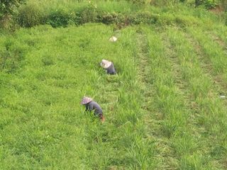 인휴정농장님의 기타작물 · 영농일지 작성글 사진