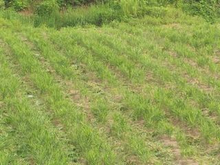 인휴정농장님의 기타작물 · 영농일지 작성글 사진