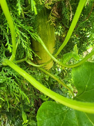 화천힐링님의 자유주제 · 자유게시판 작성글 사진