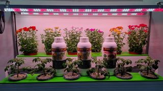 오광태님의 자유주제 · 자유게시판 작성글 사진