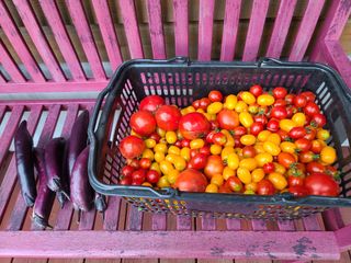 홍천산채농원 조원영님의 자유주제 · 자유게시판 작성글 사진