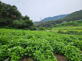 딸기17737님의 우리동네 · 동네자랑 작성글 사진