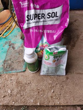 오영균 님의 들깨 · 자유게시판 작성글 사진