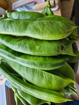 팜모닝 우리동네·동네자랑 게시글 이미지