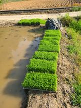 팜모닝 작목반,동호회 등 나의 모임은?·참여글 게시글 이미지