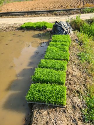 박동규님의 작목반,동호회 등 나의 모임은? · 참여글 작성글 사진