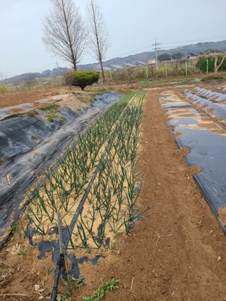 박동규님의 작목반,동호회 등 나의 모임은? · 참여글 작성글 사진