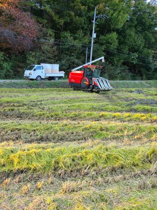 박동규님의 작목반,동호회 등 나의 모임은? · 참여글 작성글 사진