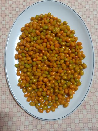 인생은 소풍처럼님의 기타작물 · 자유게시판 작성글 사진