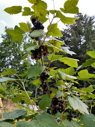 인생은 소풍처럼님의 기타작물 · 자유게시판 작성글 사진