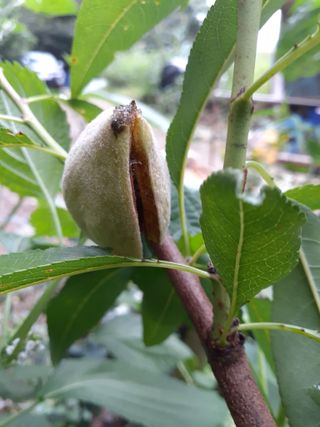 인생은 소풍처럼님의 기타작물 · 자유게시판 작성글 사진