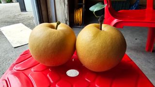 박진오님의 배 · 일상 작성글 사진