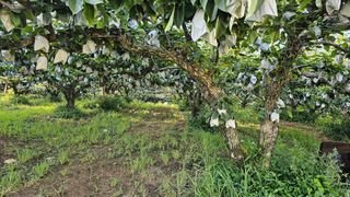 박진오님의 배 · 일상 작성글 사진