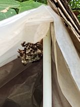 팜모닝 자유주제·자유게시판 게시글 이미지