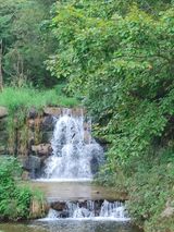 팜모닝 자유주제·자유게시판 게시글 이미지