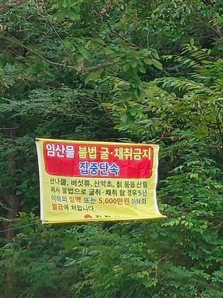 숲속의사나이님의 자유주제 · 자유게시판 작성글 사진