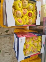 팜모닝 복숭아·자유게시판 게시글 이미지