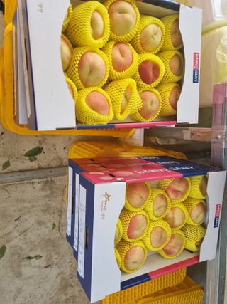 정승원님의 복숭아 · 자유게시판 작성글 사진