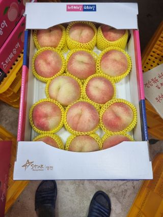 정승원님의 복숭아 · 자유게시판 작성글 사진