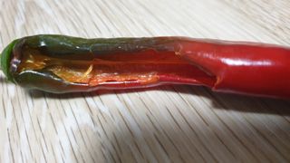 백수현님의 파 · 자유게시판 작성글 사진