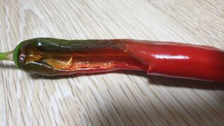 백수현님의 파 · 자유게시판 작성글 사진