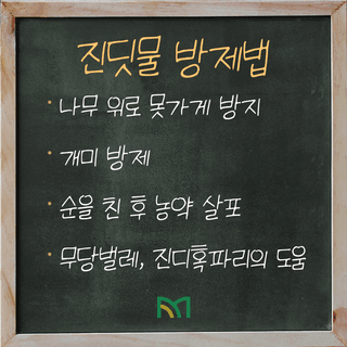 팜모닝 농사공부님의 매일매일 농사공부 · 매일매일 농사공부 작성글 사진