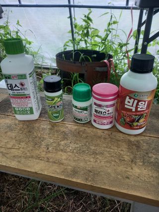 서선옥님의 감 · 영농일지 작성글 사진