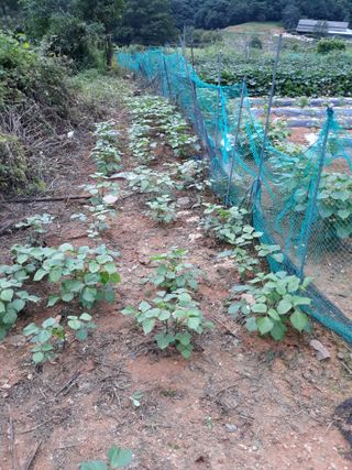 조동원님의 자유주제 · 자유게시판 작성글 사진